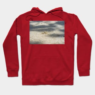 Cute Sand Crab Hoodie